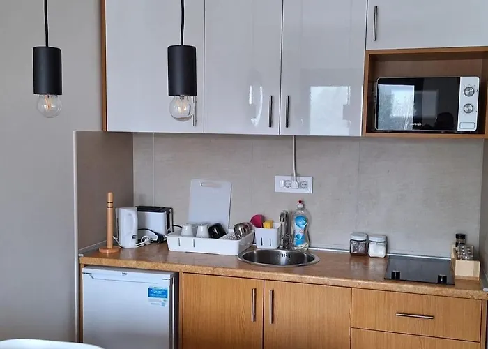 Διαμέρισμα Brest *